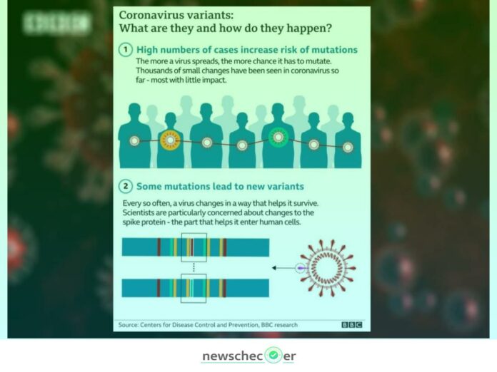 Explainer on the new variant of coronavirus Omicron: How dangerous is the new variant of the coronavirus and what we need to understand about Omicron
