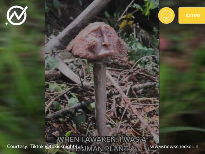 A satire video showing a garden sculpture of a ‘sad mushroom’ falsely shared as a ‘talking plant.’ 