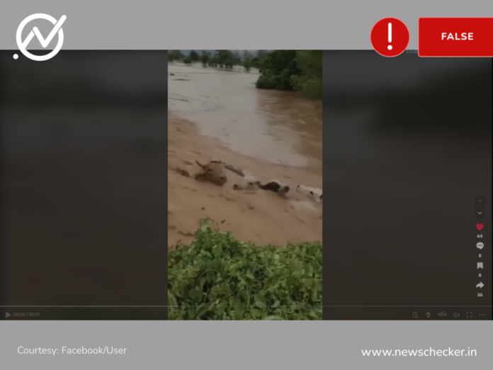 মেক্সিকোর বন্যার ভিডিওকে বাংলাদেশের সাম্প্রতিক বন্যার ঘটনা দাবিতে প্রচার